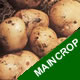 Seed Potatoes - Maincrop Pentland Crown 2.25kg