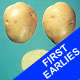 Seed Potatoes -  First Earlies Accent 2.5kg