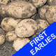Seed Potatoes - First Earlies Accord