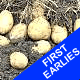 Seed Potatoes - First Earlies Arran Pilot 2.5kg