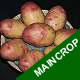 Seed Potatoes - Maincrop Cara 2.5kg