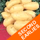 Seed Potatoes - Second Earlies Charlotte 2kg