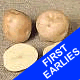Seed Potatoes - First Earlies Epicure 2.5kg