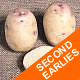 Seed Potatoes - Second Earlies Kestrel 2.5kg