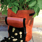 Let's Grow Potato Bag Twin Pack