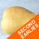 Seed Potatoes -  Second Earlies Marfona - 2.5kg