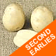 Seed Potatoes - Second Earlies Nadine 2.5kg