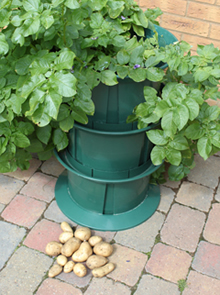 Original Potato Growpot Growing System