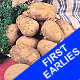 Seed Potatoes - First Earlies Pentlan Javelin 2.5kg