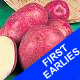 Seed Potatoes - First Earlies Red Duke of York 2.5kg