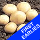 Seed Potatoes - First Earlies Rocket 2.5kg