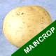 Seed Potatoes - Maincrop Sante 2.5kg