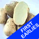 Seed Potatoes - First Earlies Sharpes Express 2.5kg