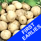 Seed Potatoes - First Earlies Swift 2.5kg