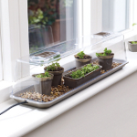 67cm Stewart Electric Kitchen Windowsill Propagator Set - Mocha