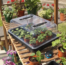 Electric Heated Propagator with Variable Temperature Control
