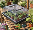 Electric Heated Propagator with Variable Temperature Control