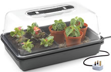 Medium Heated Propagator - Heat & Grow