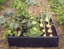 Garland Raised Grow Beds
