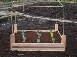 Square Raised Beds with Copper Strip