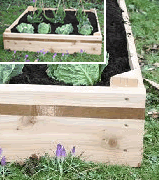Square Raised Beds with Copper Strip