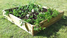 Apollo Square Raised Bed 100cm x 100cm x 20cm