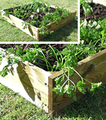 Apollo Square Raised Bed 100cm x 100cm x 15cm