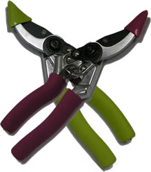 Town and Country Comfort Grip Secateurs