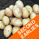 Seed Potatoes - Second Earlies Carlingford 2kg