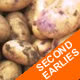 Seed Potatoes - Second Earlies Catriona 2.5kg