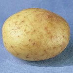 Seed Potatoes - First Earlies Duke of York 2.25kg
