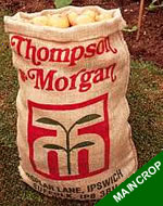Seed Potatoes - Maincrop 25kg Bag
