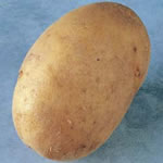 Seed Potatoes -  Second Earlies Marfona - 2.5kg
