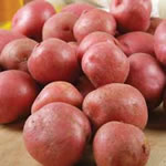 Seed Potatoes - Early Maincrop  Rooster 2kg