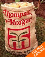 Seed Potatoes - Second Earlies 25kg Bag
