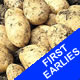 Seed Potatoes - First Earlies Ulster Chieftain 2.5kg