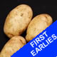Seed Potatoes - First Earlies Ulster Sceptre 2.5kg