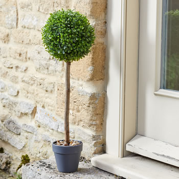 Image of Uno Ball Topiary Tree - 40cm
