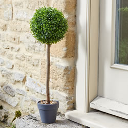 Small Image of Uno Ball Topiary Tree - 40cm