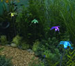 Solar Powered Garden Lights - Multi Coloured Humming Bird Lights