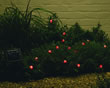 Solar Powered Light Set - Ladybird