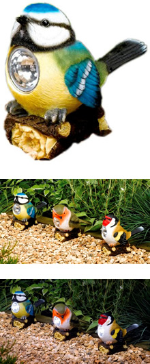 Solar Powered Bird Spotlights - Blue Tit