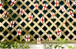 Solar Powered World Cup England Lights