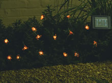 Solar Powered Light Set - Bee Lights