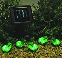Solar Powered Light Set - Freddy Frog