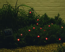 Solar Powered Light Set - Ladybird