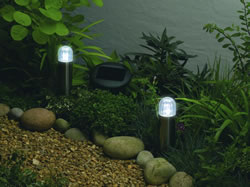 Stainless Steel Solar Powered Pathway Markers