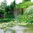 Sunjet 900 Solar Powered Fountain