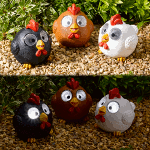 Bright Eyed Happy Hens - 3 Pack