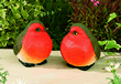 Solar Powered Glowing Robins - Set of 2